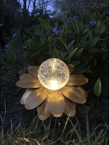Image du produit Star Trading Solar Decoration Lilly (IP44)