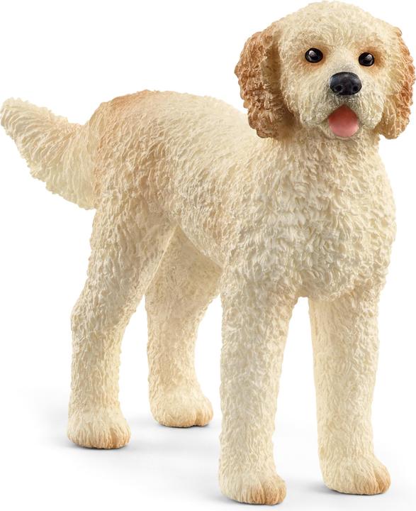 Image du produit Schleich Chien Goldendoodle