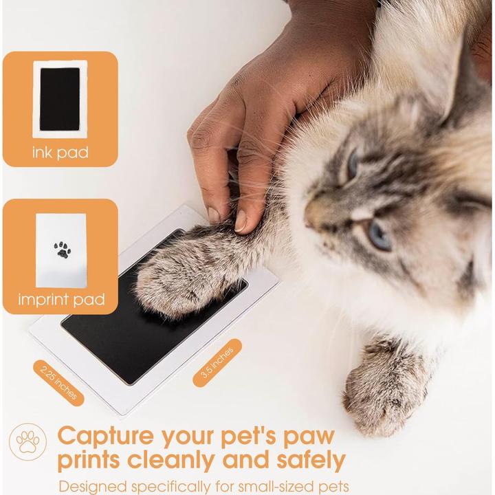 Image du produit Pearhead Tampons encreurs