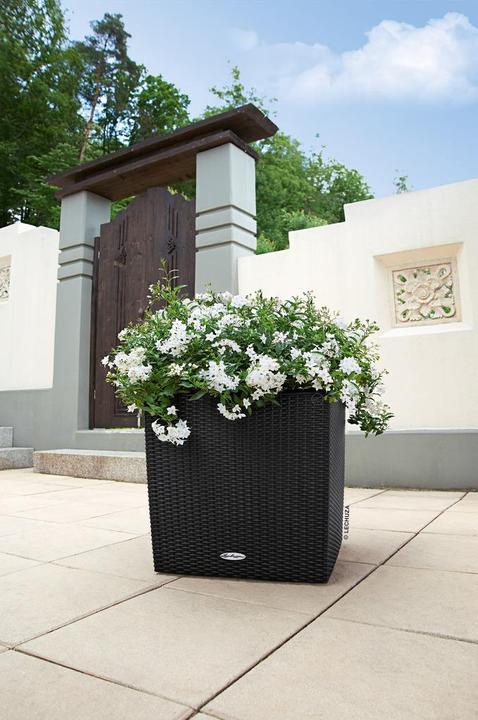 Produktbild Lechuza Blumentopf Cube Cottage 50 (50 x 50 x 49.50 cm)