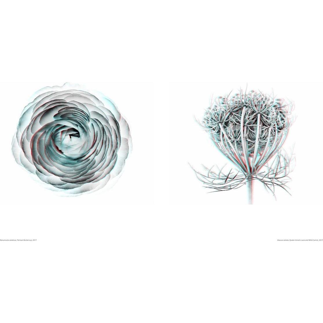 Thumbnail - Sebastian Cramer, Sachbücher von Sebastian Cramer, Wim Wenders, Susanne S. Renner, Tanja M. Schuster, David Campany