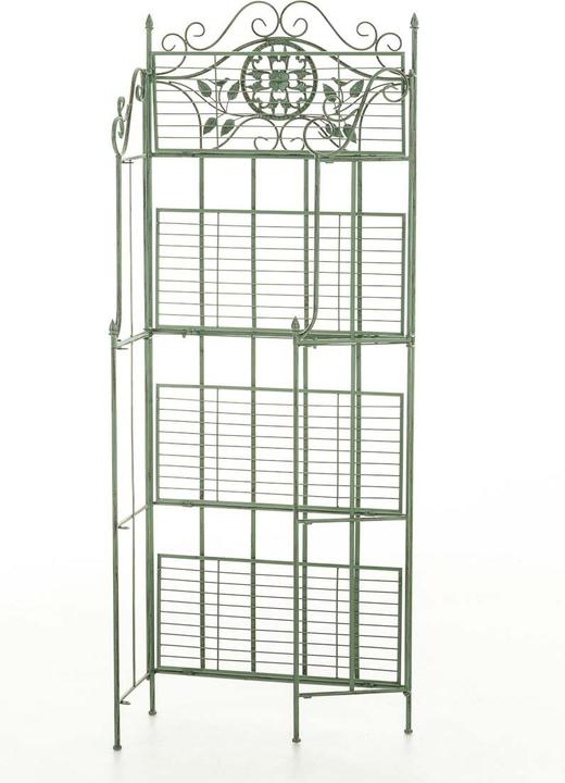 Valori nutrizionali e ingredienti CLP Scaffale a terra Flora, verde antico (66 x 32 x 175 cm)