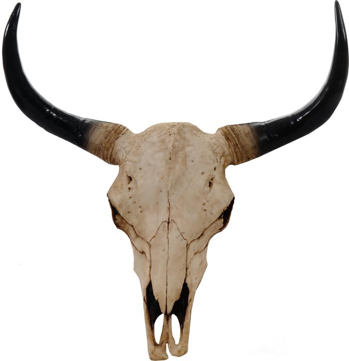 Immagine prodotto Jamb Teschio Deco 65cm (64 x 64 cm)