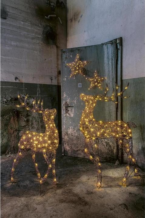 Actual product image STT Finn Reindeer