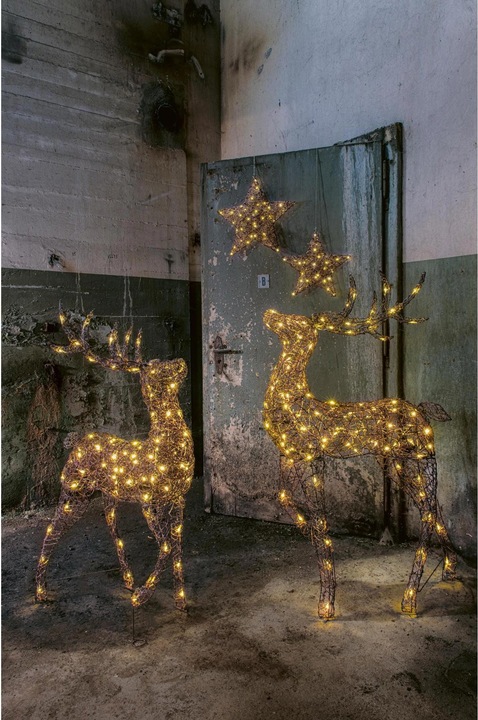 Immagine prodotto STT Finn Reindeer