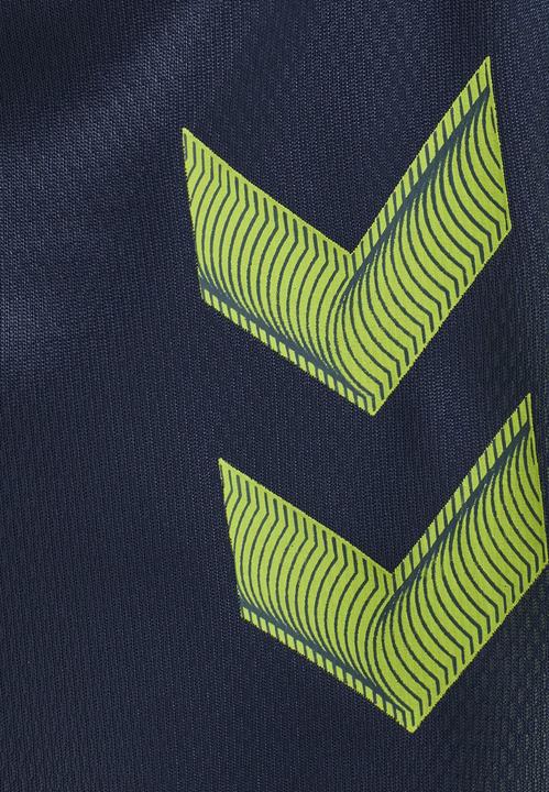 Image du produit hummel Lead Trainer Short (M)