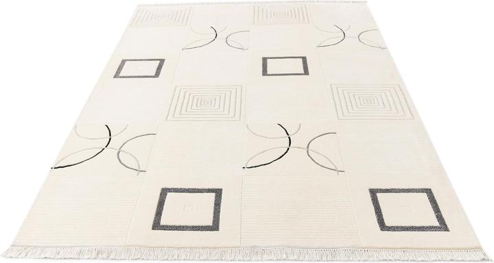 Image du produit Vidal Darya-Indian (170 x 251 cm)