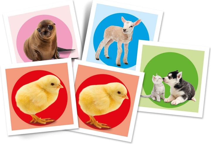 Immagine prodotto Clementoni Gioco di memoria per bambini animali compatti 4+