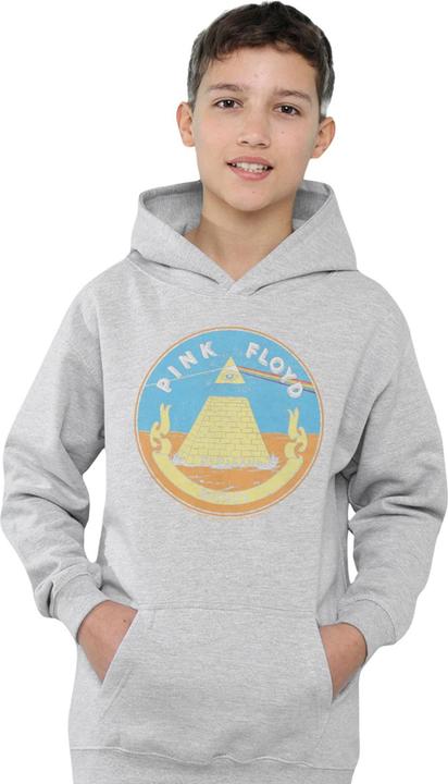 Produktbild Pink Floyd Money Kapuzenpullover meliert (116)