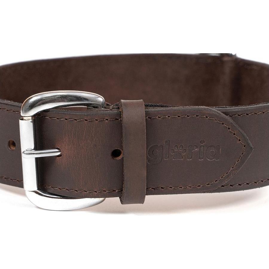 Meilleurs prix pour Collier pour Chien Gloria Marron (85 x 4 cm)