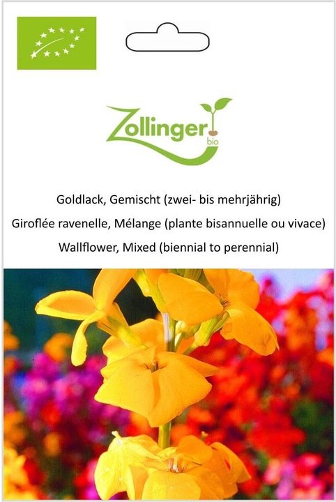 Produktbild Zollinger Bio Goldlack, Gemischt (zwei- bis mehrjährig) (Blumenzwiebel)