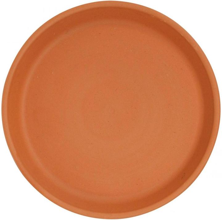 Actual product image Spang Coaster XLU