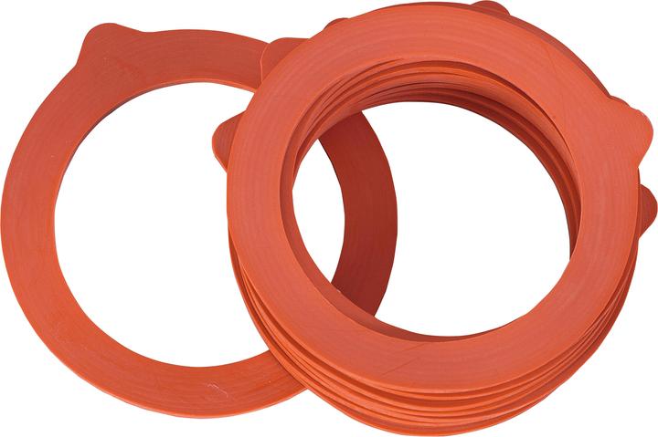 Actual product image Sänger Triomphe (10 pcs., 1 l)
