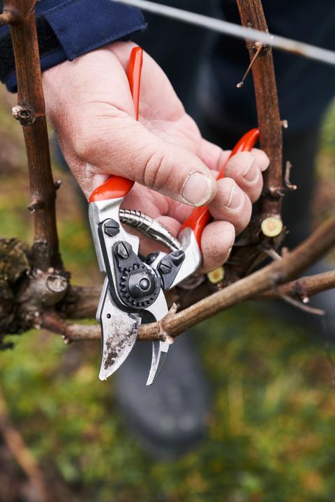 Produktbild Felco Gartenschere 14