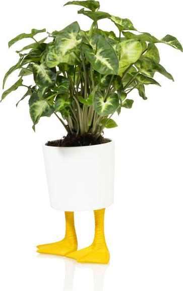 Bitten Duck Feet Planter Large