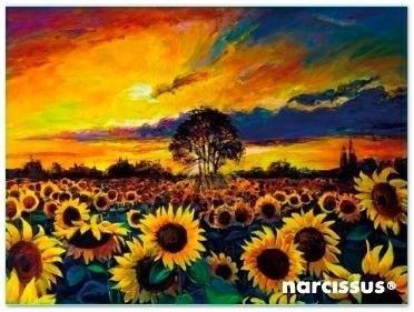 Produktbild Teka PP A7 Umschlagmappe Sonnenblumen (A7)