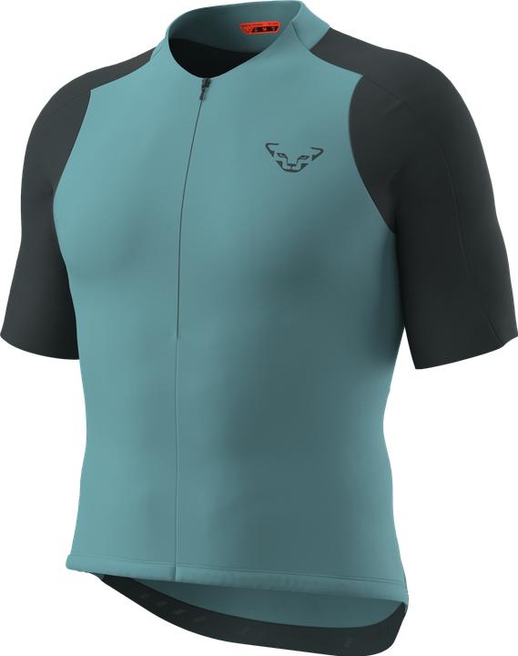 Storm blue blueberry