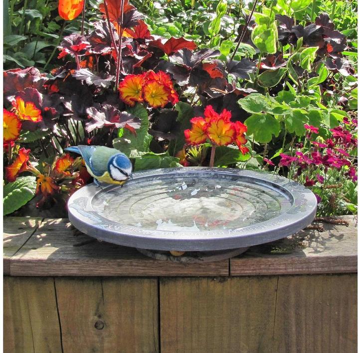 Produktbild Wildlife World Oasis