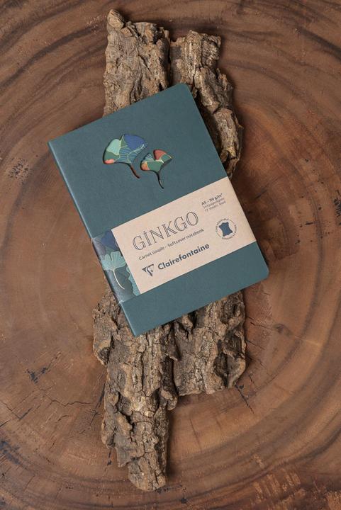 Image du produit Clairefontaine Ginkgo, Notizbuch aus Leder, A5 14,8x21 cm, 72 Blatt liniert 90g, sortiert - (A5, À rayures, Couverture souple)