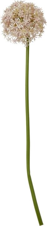 Actual product image Hill Interiors Allium Stem Artificial Plant