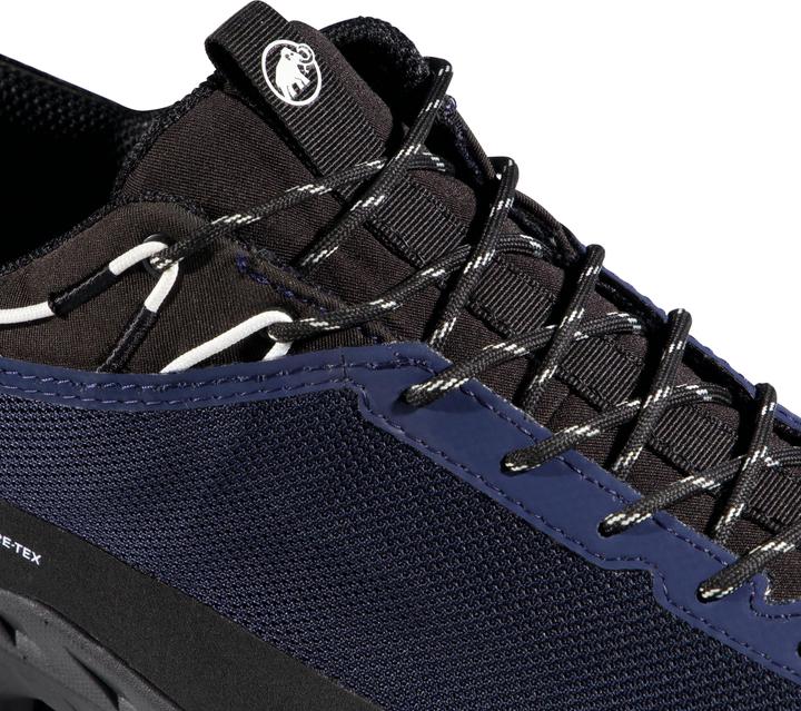 Produktbild Mammut Alnasca IV Low GTX Men (44)