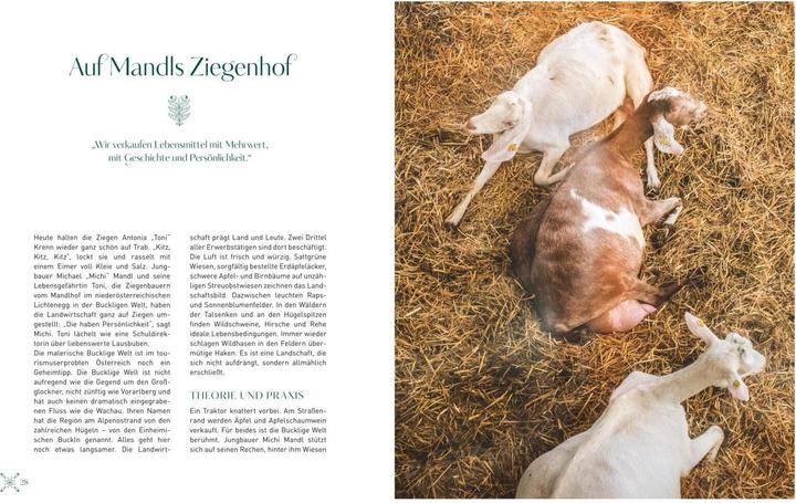 Actual product image Das Original Sacher Kochbuch (German, Hotel Sacher, 2018)