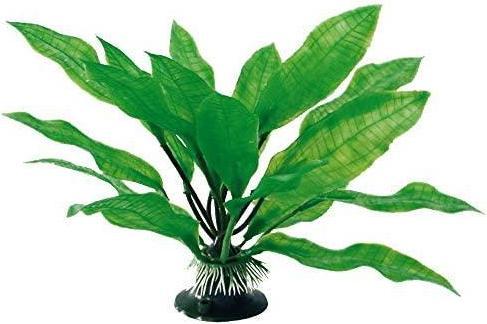 Croci Spa Echinodorus (Decorazione, Piante)