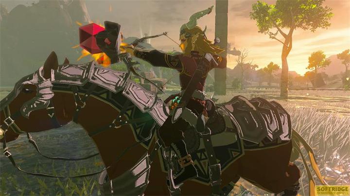 Actual product image Nintendo The Legend of Zelda: Tears of the Kingdom (Switch, Switch Lite, Switch OLED, DE, IT, FR, EN)