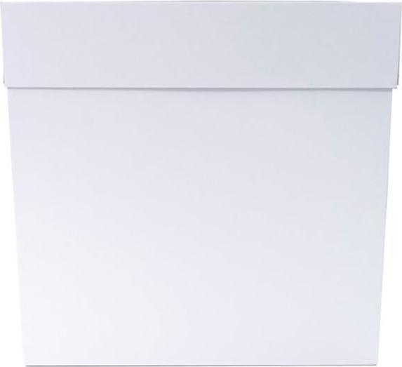 Actual product image Culpitt Transport box (25x)