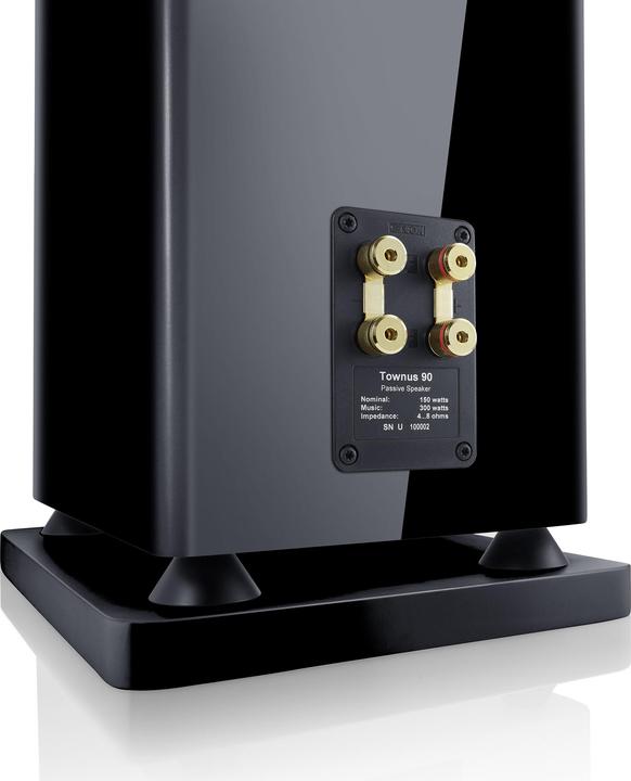 Actual product image Canton Townus 90 (1 pcs., 150 W)