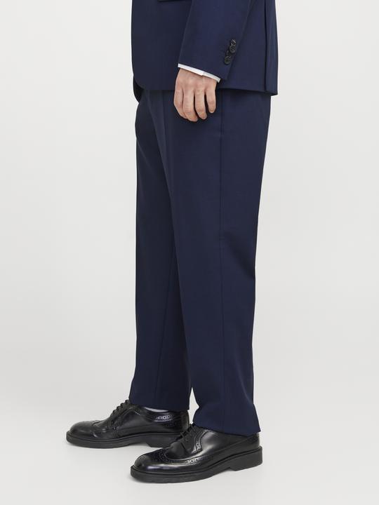 Actual product image Jack & Jones Jprtheo Trouser Noos (48)