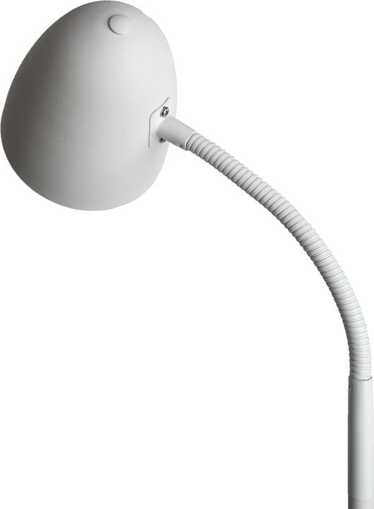 Actual product image Nino Leuchten White floor lamp JASON (E14)
