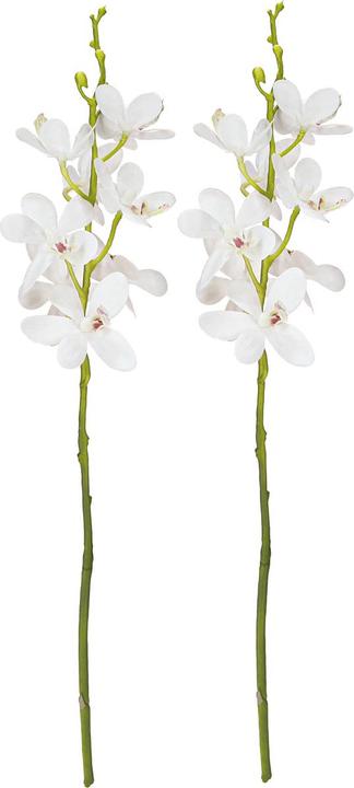 Viana Knstliche Orchideen Zweige mit Real-Touch Blten fr elegantes  Zuhause (3 cm)
