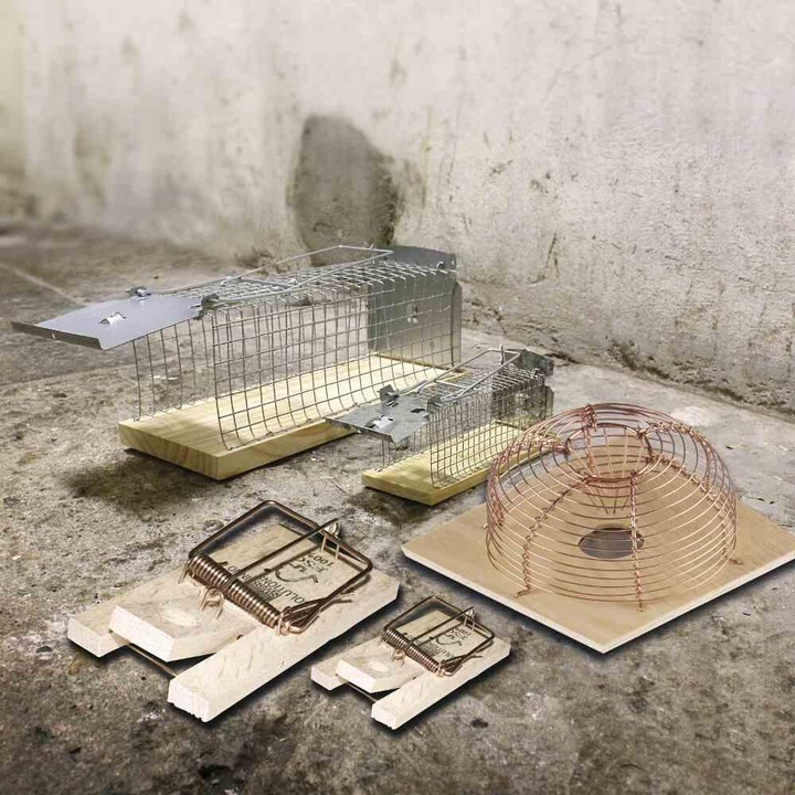 Actual product image Swissinno Living Trap Mouse Classic 1 pc