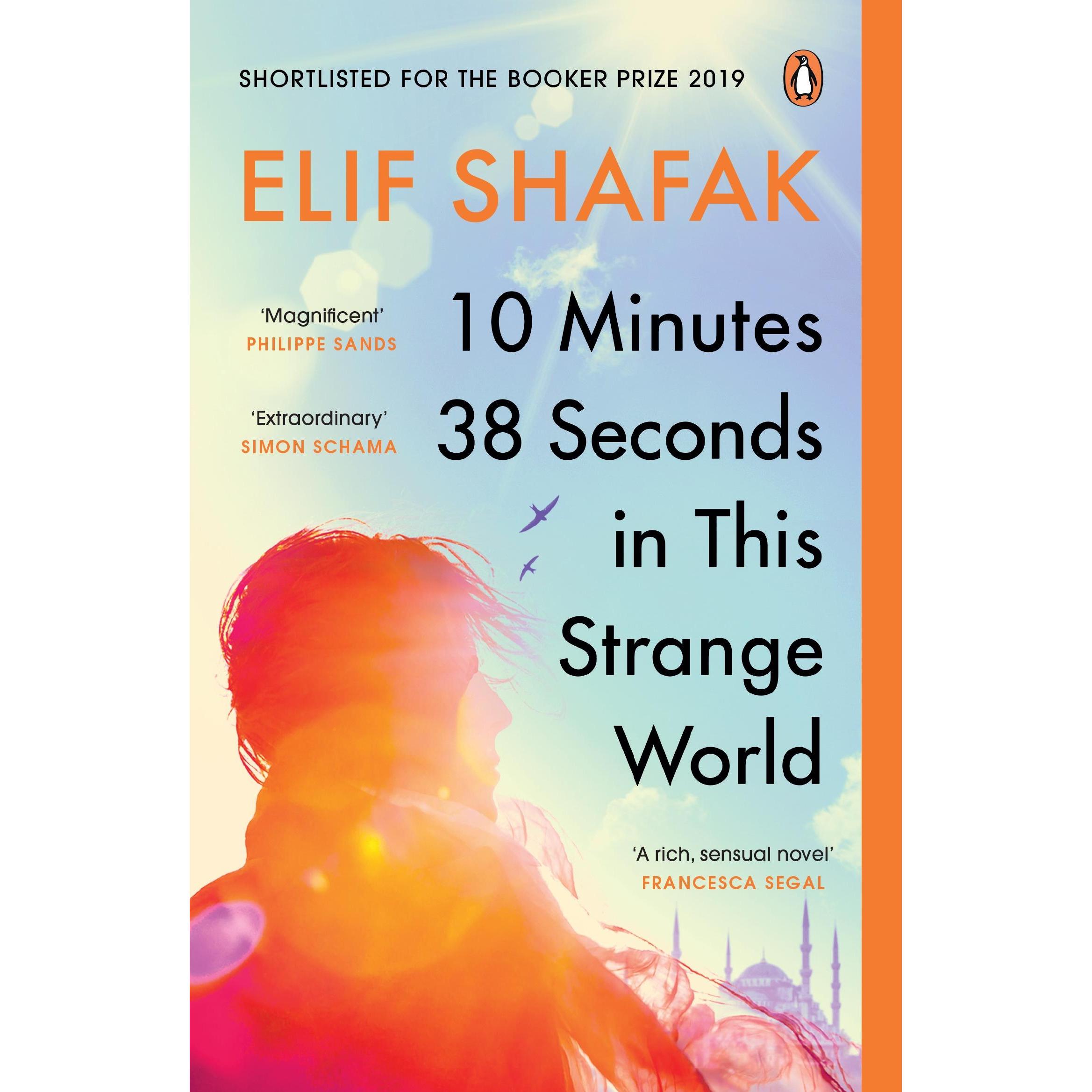 10 Minutes 38 Seconds in this Strange World, Belletristik von Shafak Elif