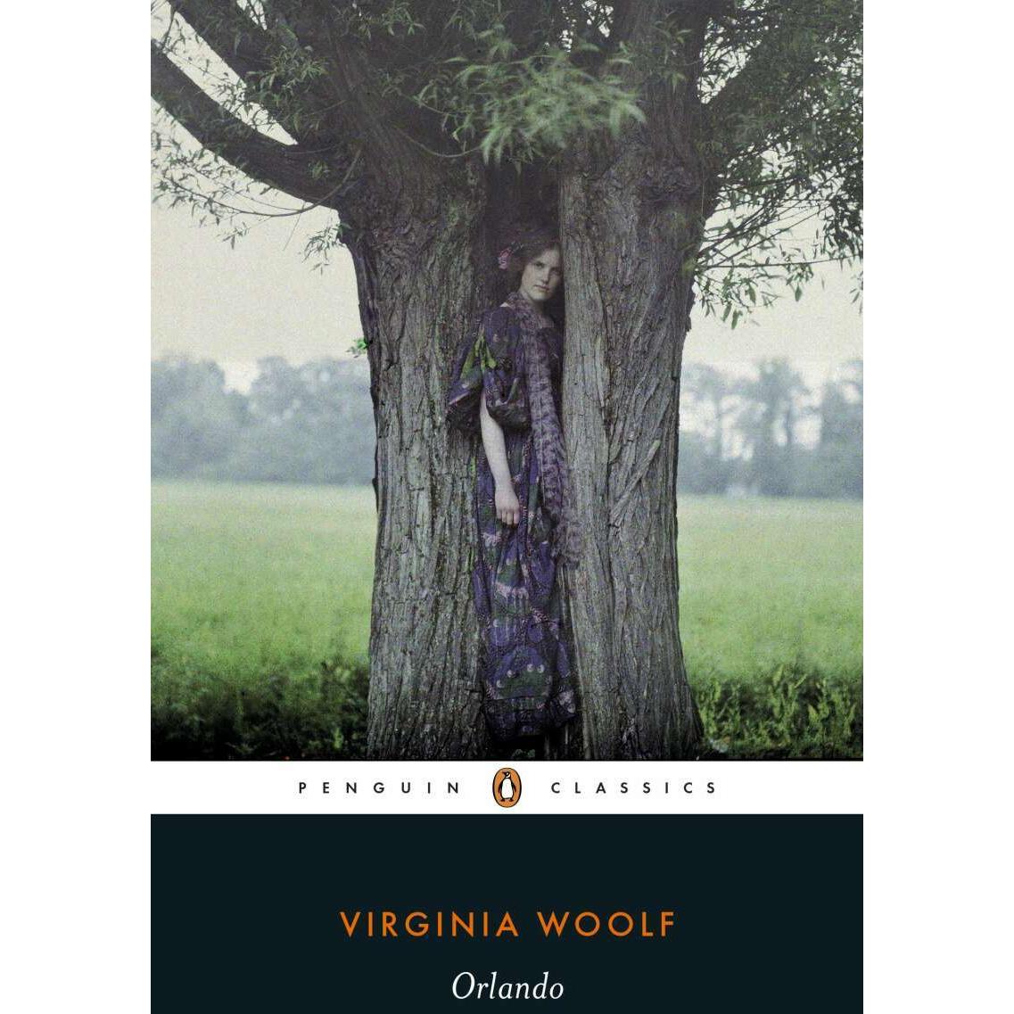 Orlando, Belletristik von Virginia Woolf, Brenda Lyons, Sandra Gilbert