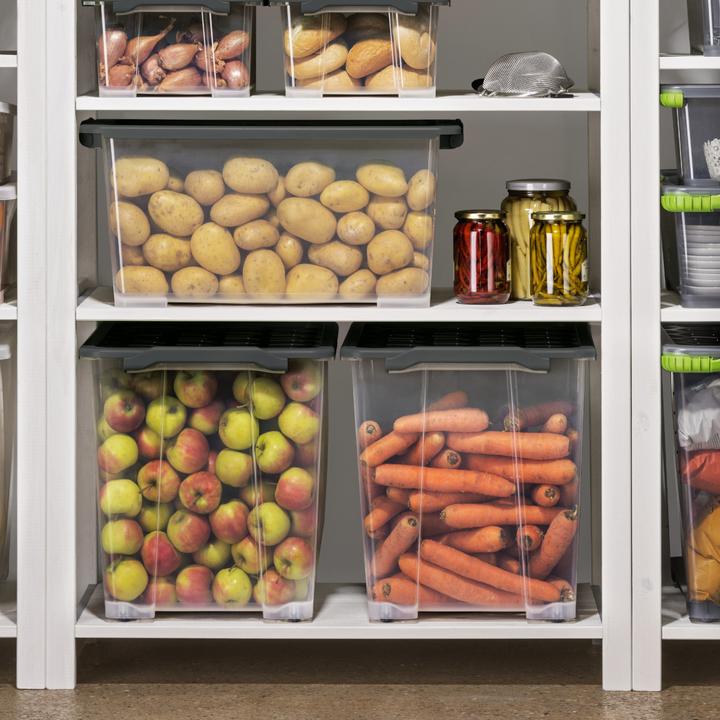 Image du produit Rotho Boîte de rangement (44 l)