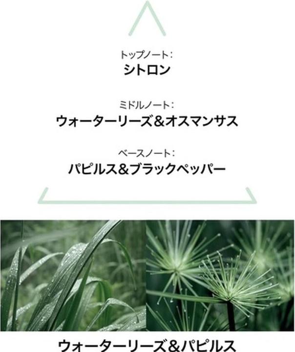 Produktbild Le Couvent Botanical Cologne Aqua Nymphae EDT 50 ml (Eau de Toilette, 50 ml)