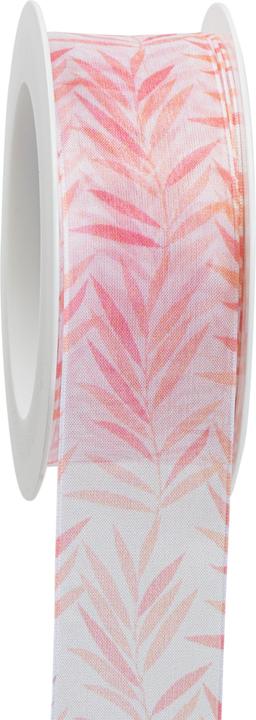 Image du produit Goldina Ruban cadeau Jungle Feeling avec bord indéformable, 40 millimètres x 15 mètres, abricot (1x)