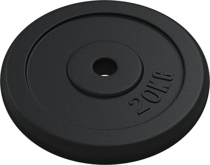 Immagine prodotto vidaXL Hantelscheibe (2 x 20 kg)