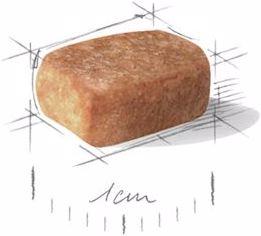 Image du produit Royal Canin Chihuahua junior (Junior, 1 pcs, 500 g)