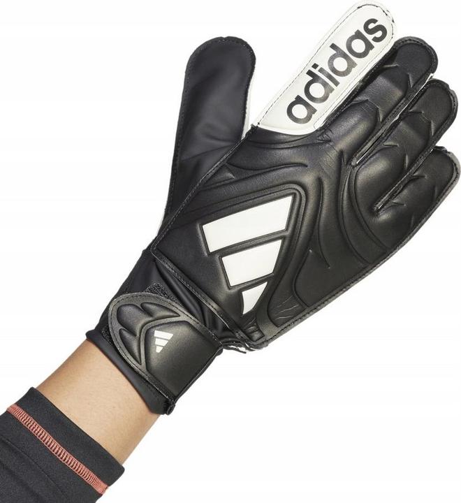 Produktbild Adidas Copa Club TorhüterHandschuhe (11.5)
