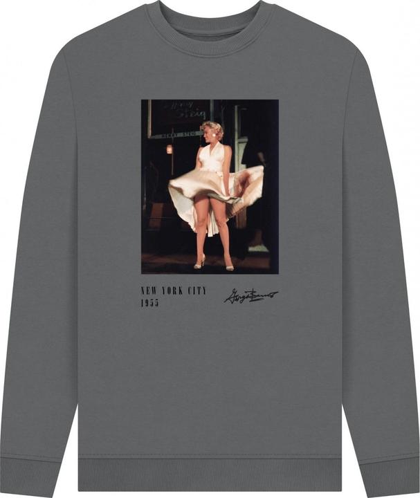 Produktbild Universal Textiles New York City Sweatshirt (L)