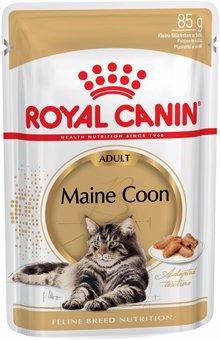 Royal Canin Coon del Maine (Adulto, 1 pz., 85 g)