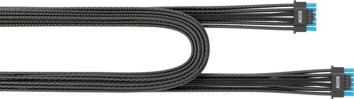 Image du produit Seasonic SS-16P-12V-2x6-600
