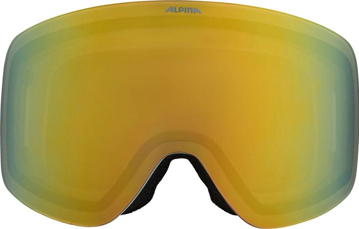 Productafbeelding Alpina Penken Q-Lite