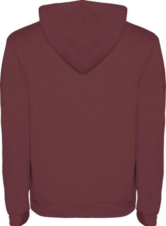 Produktbild Alpinia Urban Kapuzenpullover (S)