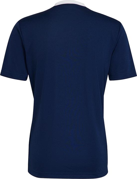 Produktbild Adidas Entrada 22 TShirt (S)