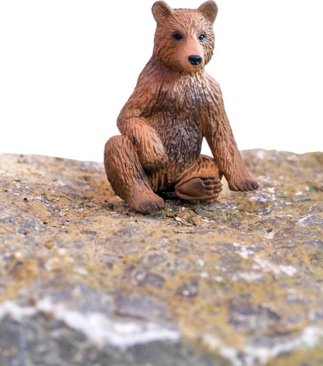 Image du produit Betzold Animaux de la forêt