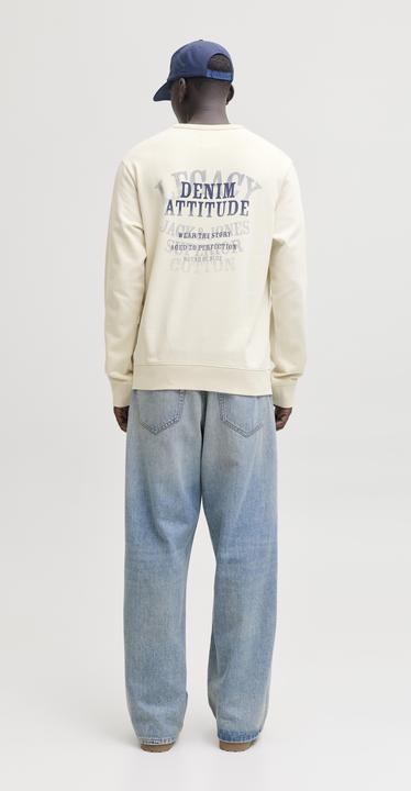 Produktbild Jack & Jones Jjedetroit Sweat Crew Neck Styd Aw25 (M)